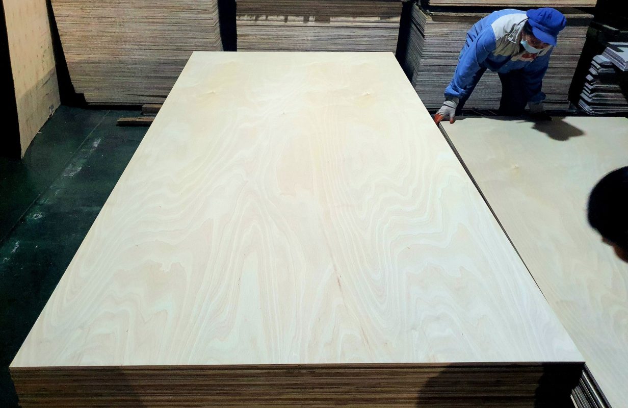 White Birch Plywood Plywood Triệu Thái Sơn